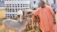 गाय को राष्ट्रीय पशु घोषित करने की मुस्लिम धर्मगुरुओं की मांग पर क्या बीजेपी असमंजस में है?