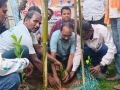 ଭଣ୍ଡାରିପୋଖରୀ ବିଜେପିର “ମା’ ପାଇଁ ବୃକ୍ଷଟିଏ”