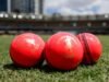 ICC approves trial of pink balls in bad light at Tests