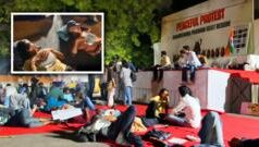 कॉक्रोच जनता पार्टीचे जंतर-मंतरवरील आंदोलन, 11 फोटोंमधून पाहा मध्यरात्रीची परिस्थिती