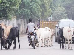 ബംഗാളിലെ ‘ഗോരക്ഷ’ തിരിഞ്ഞുകൊത്തുമ്പോള്