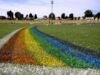 Suns ruckman investigated for alleged homophobic slur