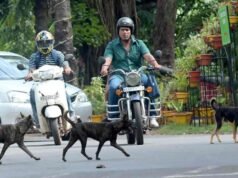 തെരുവുനായ പിന്തുടര്ന്നതിനെത്തുടര്ന്ന് സ്കൂട്ടര് നിയന്ത്രണം വിട്ട് മറിഞ്ഞു; വയോധികയ്ക്ക് ദാരുണാന്ത്യം