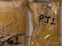 DRI seizes Rs 4.2 crore gold in wax form at Mumbai airport