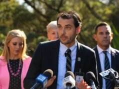 Marine biologist reveals blunt theory on Bondi Beach shark reports