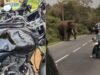 Teachers escape elephant attack in Karnataka; bike damaged