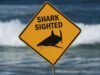Man dies in shark attack while spearfishing with family