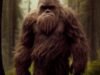 Expert explains how Big Foot evades humans