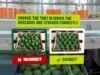 Woolworths uses VR headsets as part of avocado supply-chain tech rollout