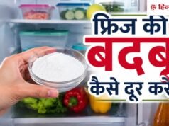 फ्रिज की बदबू से परमानेंट छुटकारा दिलाएगी ये ₹10 वाली चीज, कंटेंट क्रिएटर ने शेयर की कटोरी ट्रिक