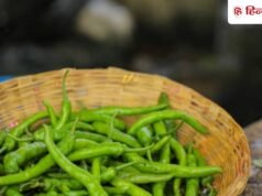 हरी मिर्च ना सूखेगी, ना सड़ेगी, आराम से महीनों फ्रेश रखने का जान लें सीक्रेट