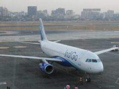 Bird hit delays IndiGo Bengaluru-Mumbai flight by over an hour