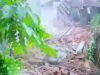 കണ്ണൂരില് കനത്ത മഴയില് കെട്ടിടം ഇടിഞ്ഞുവീണു