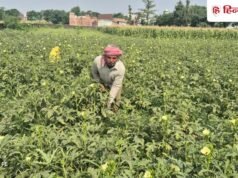 किसानों के 2 लाख रुपये तक के लोन माफ, इस राज्य के 56 लाख किसानों को मिलेगा फायदा