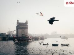 Mumbai Darshan: मुंबई क ा अलग रूप देखन ा चाहत े हैं? इन 5 जगहो ं क ो करे ं एक्सप्लोर