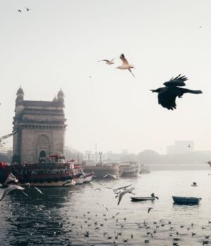 mumbai-darshan_1782313375690_1782313375857_cd2435a1-67c6-43e8-9a89-81172e14380a.jpg