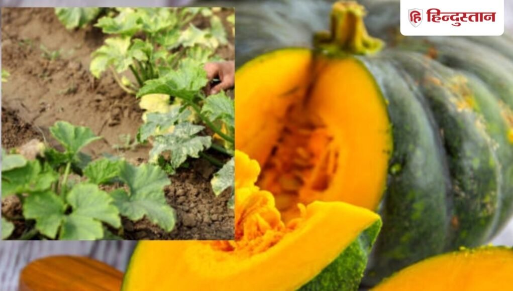 pumpkin-6-health-benefits_1781662507386_1781662507533_18d2d57d-4fa2-4df2-8c0b-17da45b8ff9c.jpg