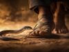 Pregnant woman dies of snake bite, family alleges negligence, assaults doctor
