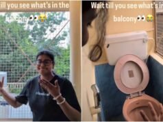 Bengaluru flat offers fresh air and a balcony toilet. Yes, you read that right