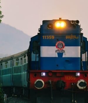 train_1749181506242_1782130087096_c5b24002-2e79-4859-b2f6-8e585b0e797e.jpg