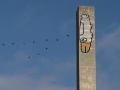Petition plan to keep graffiti bird after stand-off