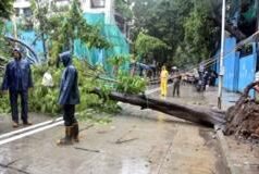 CCTV Video : मुंबईत पावसामुळं झाड उन्मळून पडल्याच्या घटनेत आणखी एका व्यक्तीचा मृत्यू