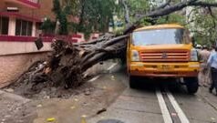 चेंबूरच्या दुर्घटनेतला विहानचा मृत्यू टाळता आला असता? ‘झाड कोसळू शकतं’ सांगणाऱ्या 2 पत्रांकडे कुणी दुर्लक्ष केलं?