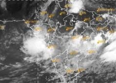 ગુજરાતમાં હજુ કેટલા દિવસ વરસાદ પડશે, હવામાન વિભાગે શું આગાહી કરી?