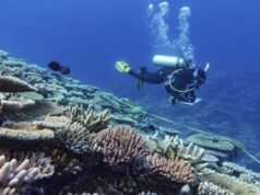 Reef again avoids ‘in danger’ World Heritage listing