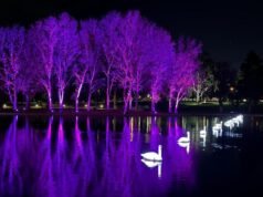 Dance of the robot swans lights up winter tech festival