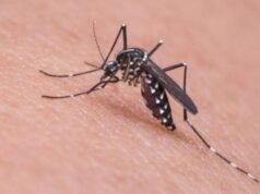 Cyberabad intensifies anti-mosquito drive during monsoon