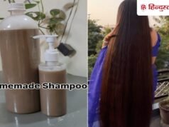 लंबे-घने बाल चाहिए? केमिकल छोड़ ये हर्बल शैंपू ट्राई करें, 2 महीने तक नहीं होगा खराब!