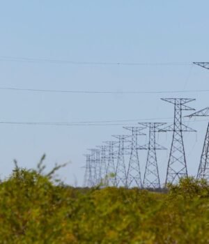 Power_lines-resized_TZ.jpg