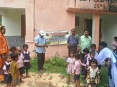 ସୁରକ୍ଷା ମଂଚର ଚାରା ରୋପଣ