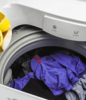 Viral_clothing__cleaning_hack_1783180123759_1783180130032_510d5bb5-42c0-4df9-b6cc-19cb4335ae2a.jpg