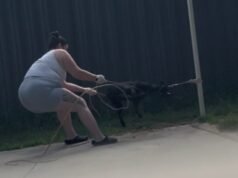 Beckenham woman convicted by Perth Magistrates Court for ‘abhorrent’ abuse of one-year-old puppy