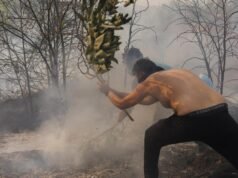 Two dead after wildfire guts house in Greece