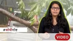 मुंबईत 24 तासांत तब्बल 559 झाडं कशामुळे पडली? – सोपी गोष्ट
