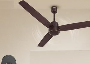 ceiling_fan_1783168507480_1783168521375_20a385bc-ce03-4420-b3ef-90cfda957b19.jpg