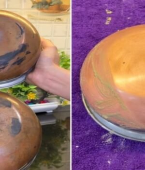 cleaning_hack_Copper_Brass_1783429508875_1783429514626_5c548a3b-ccd9-4a6d-9697-a8702b2717db.jpg