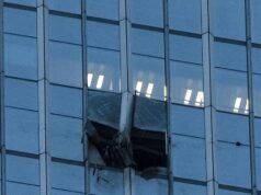 Pilot deliberately crashed plane into skyscraper: China