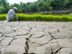 Govt monitoring drought risk: Amit Shah as India faces one of driest June since 1901