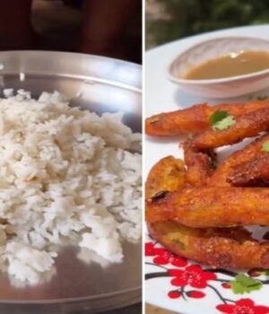 fries_from_Leftover_rice_1783068727792_1783068734768_3c71cd16-6fe2-4bc5-868e-e55d417007ca.jpg