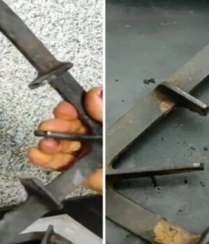 gas_stand_cleaning_1783524870140_1783524876178_c4cb300a-c06e-4719-be96-e40cbe20467e.jpg