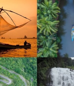 kerala_tourism_1782996557857_1782996558050_c4a4d392-dd18-473e-ad13-ed011f57d147.jpg