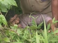 മലക്കപ്പാറ വ്യൂ പോയിന്റില് നിന്നും കൊക്കയിലേക്ക് വീണ വിനോദ സഞ്ചാരിയെ അതിസാഹസികമായി രക്ഷപ്പെടുത്തി