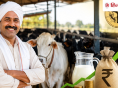 डेयरी खोलिए, सरकार देगी ₹11.80 लाख सब्सिडी! यूपी की नई योजना बदलेगी किसानों की किस्मत