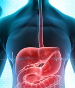 protect_digestive_health_1783221296384_1783221296931_d28d016a-c638-43f4-9098-3d4bda47e240.jpg