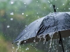 മഴ തുടരും; ഇന്ന് അഞ്ച് ജില്ലകളില് യെല്ലോ അലേര്ട്ട്