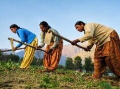 Maharashtra passes Bill giving millions of women farmers official recognition